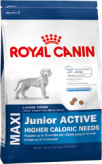 Royal Canin Maxi Junior Active (Макси юниор актив) Корм для щенков до 15 месяцев с высокими энергетическими потребностями