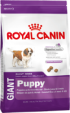 Royal Canin Giant Puppy (Джайнт паппи) Полнорационный сухой корм для щенков собак очень крупных размеров (вес взрослой собаки более 45 кг) в возрасте с 2 до 8 месяцев